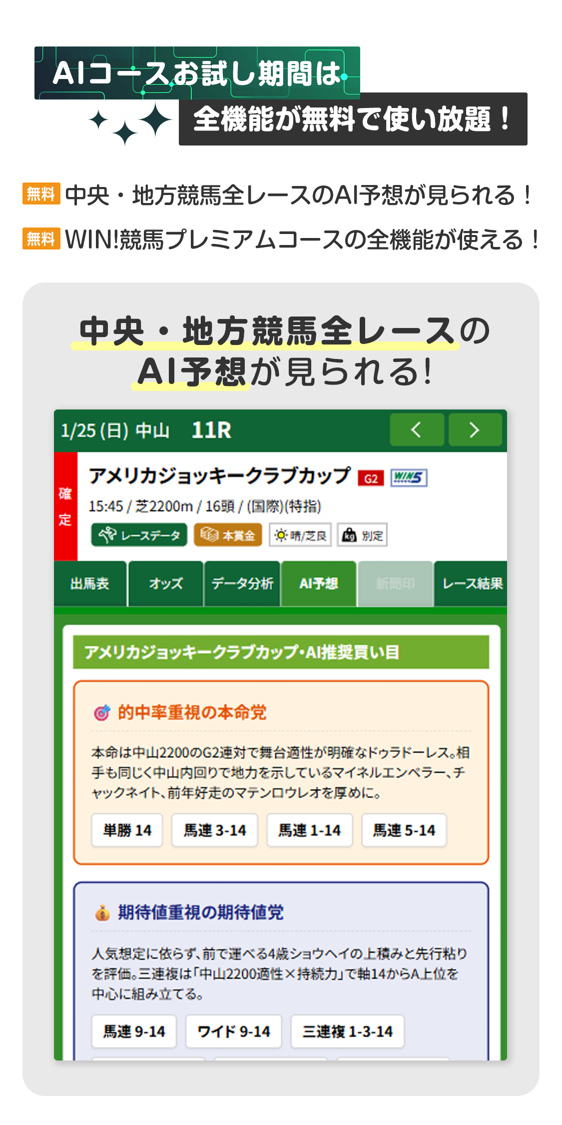 インターネット投票,IPAT,即PAT,JRA
