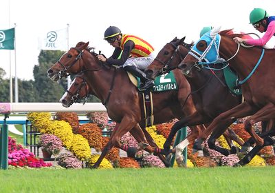 フェスティバルヒル