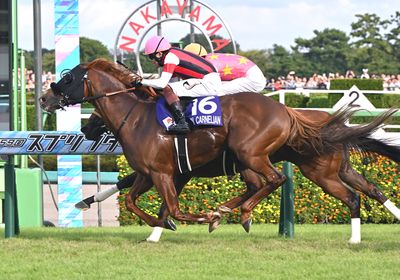 ウインカーネリアン