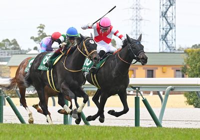 2026愛知杯_アイサンサン