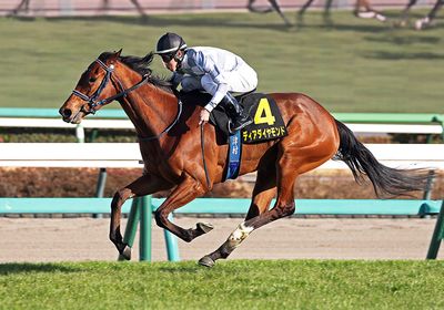 2026アネモネS_ディアダイヤモンド