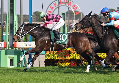 2026フラワーC_スマートプリエール