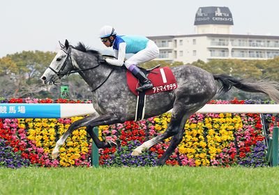 2026阪神大賞典_アドマイヤテラ