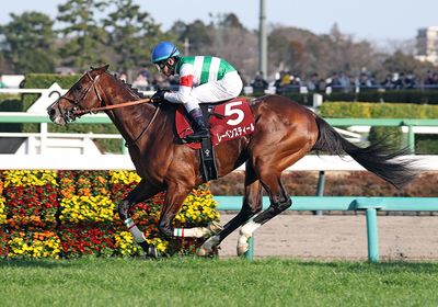 2026中山記念_レーベンスティール