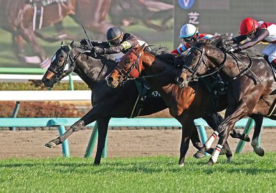 2026オーシャンS_ペアポルックス