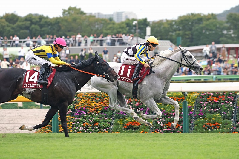 ガイアフォース