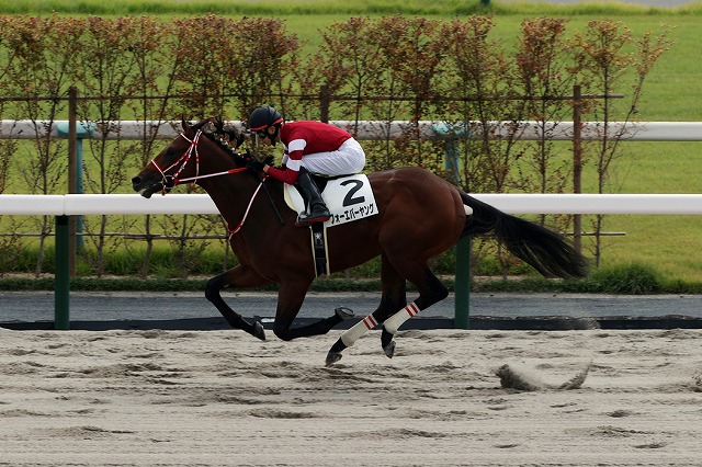 フォーエバーヤング