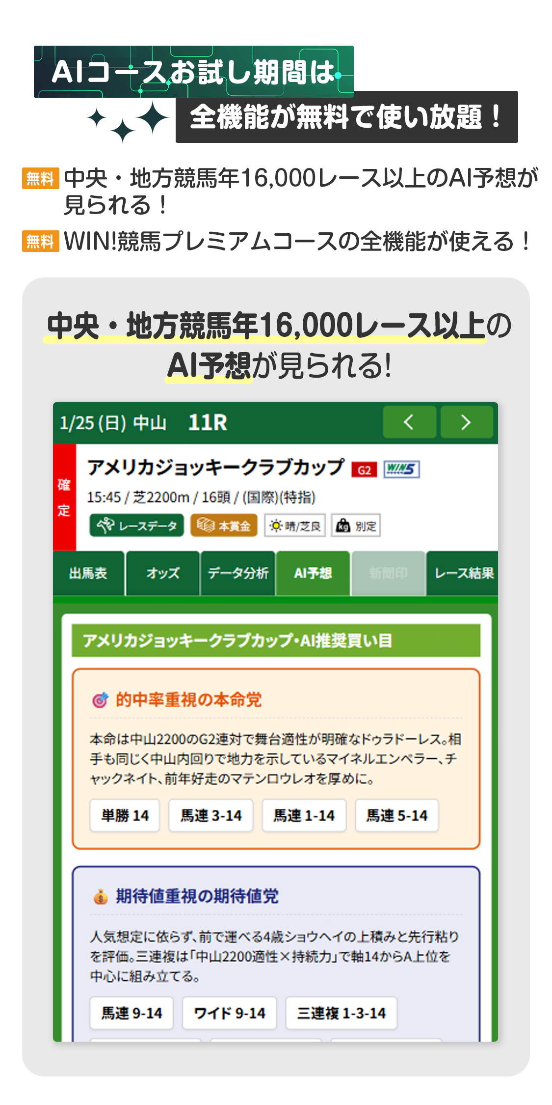 インターネット投票,IPAT,即PAT,JRA