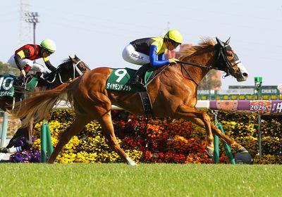 ダイヤモンドノット