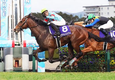 カヴァレリッツォ