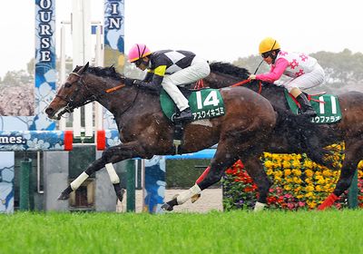 アスクイキゴミ