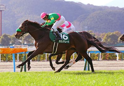 タガノデュード