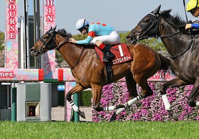 2026阪神牝馬S_エンブロイダリー