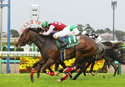 2026ダービー卿CT_スズハローム