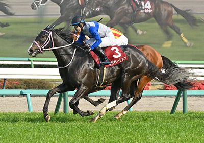 2026ニュージーランドT_レザベーション