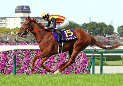 2026桜花賞_スターアニス