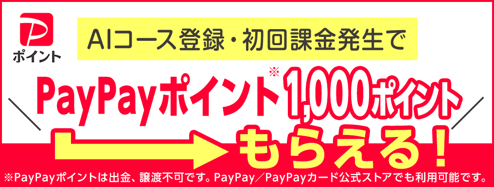PayPayCP1