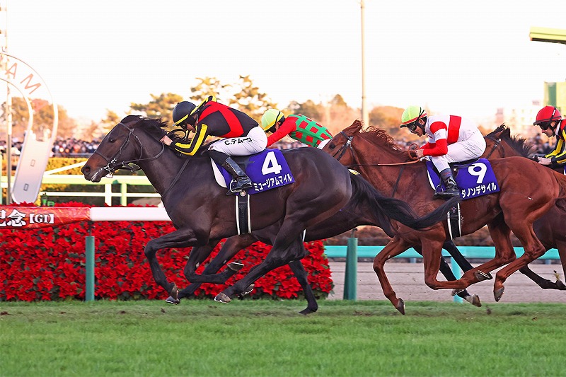 ミュージアムマイル