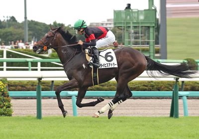 ライヒスアドラー