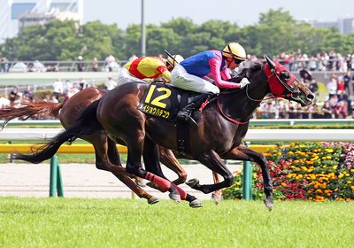 2026プリンシパルS_メイショウハチコウ