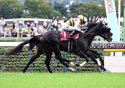 マイルチャンピオンシップ(G1) 2026 特集 出走予定馬・競馬予想
